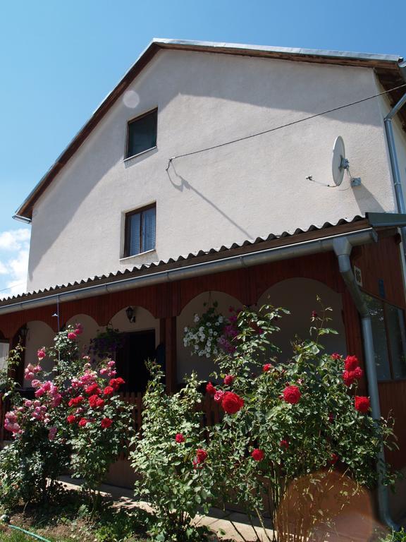 Rooms Zigic Korenica Zewnętrze zdjęcie